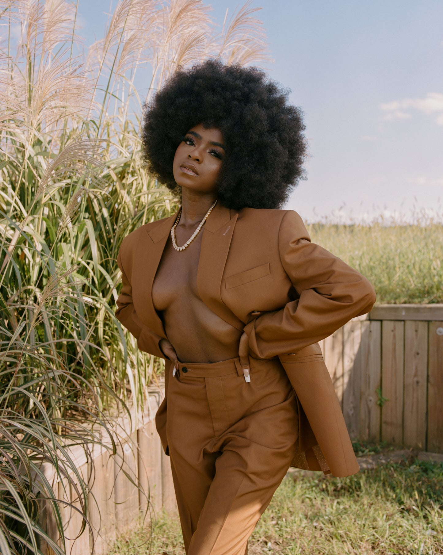 BROWN DOUBLE BREASTED SUIT