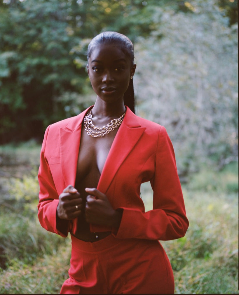 'EVE' 2 PIECE CROP BLAZER SET